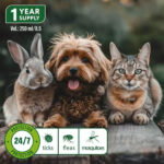 Flea & Tick Spray for Dogs, Cats & Rabbits | Plant-Based Formula with Rosemary, Citronella & Lemongrass | 250ml (8.5oz) 1-Year Supply | 24/7 Protection Against Ticks, Fleas & Mosquitoes - Image 5